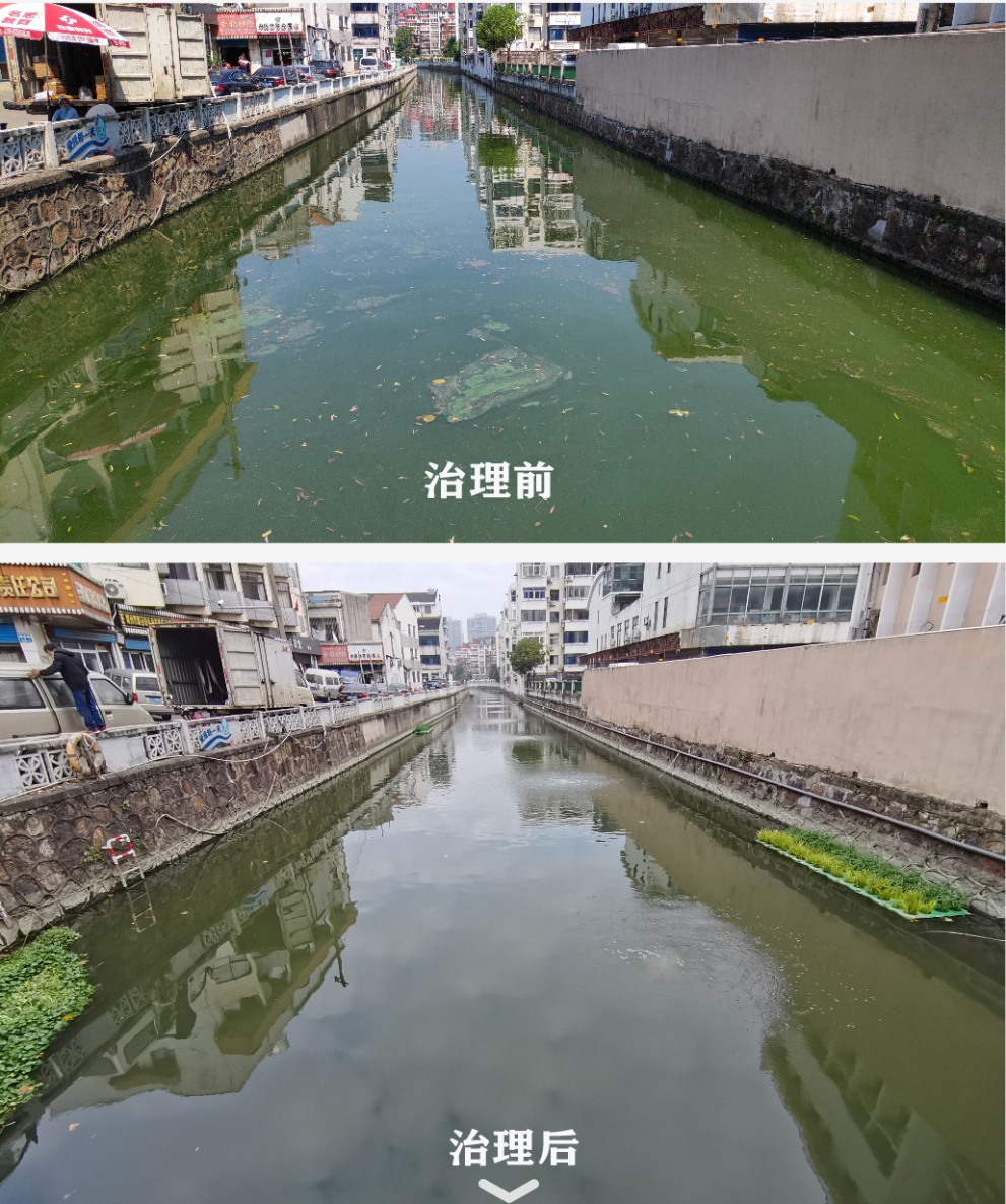 图片11.png