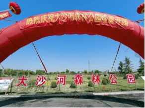 图片12.png