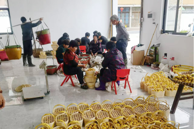 归类排序837.png