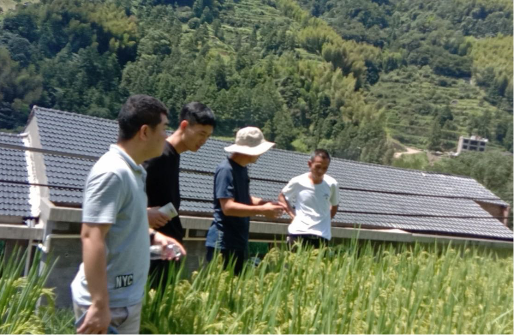 投稿库08156793.png