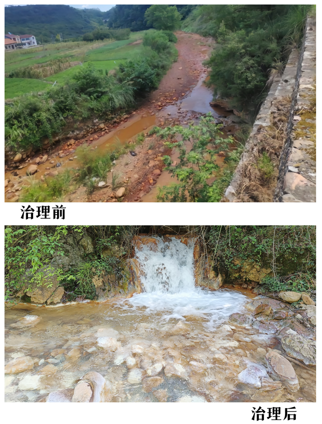 图片 8.png