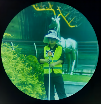 中秋汇总810.png